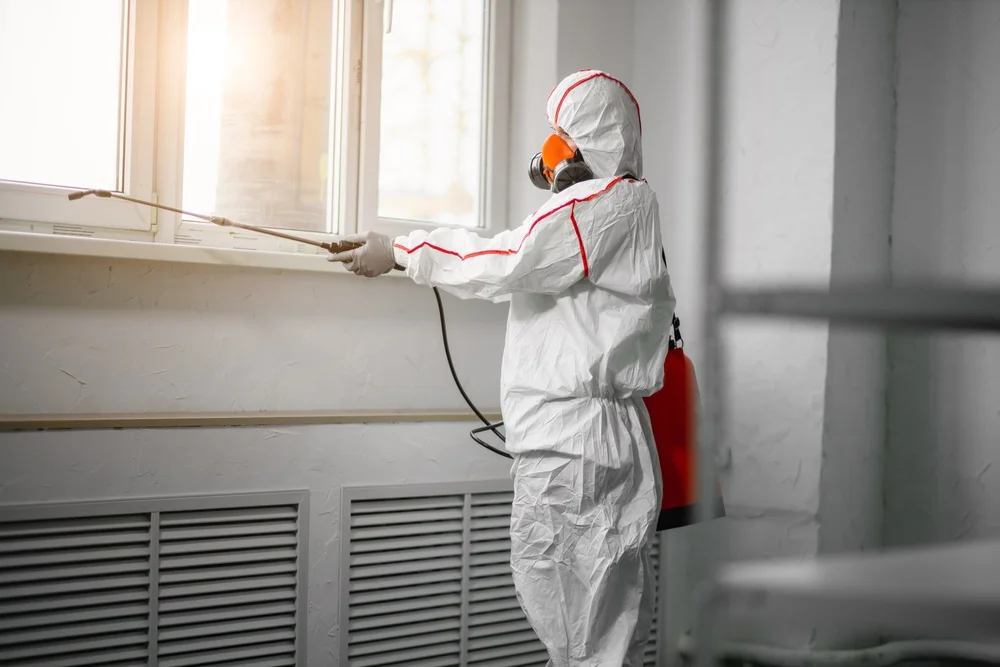 Professional mold remediation services in Oakhurst, NJ